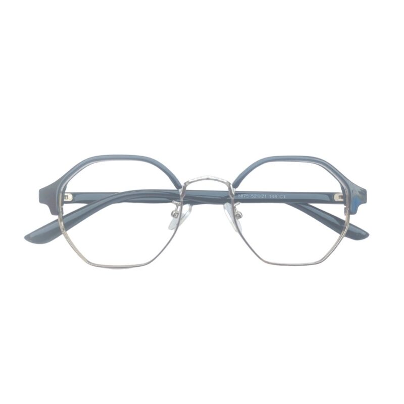 Hexagonal Eyeglasses- HE-111, Black & Silver
