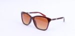 DnG Unisex Sunglasses- 3058 - Image 2