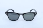 RB Panto Unisex Sunglasses- RB5016